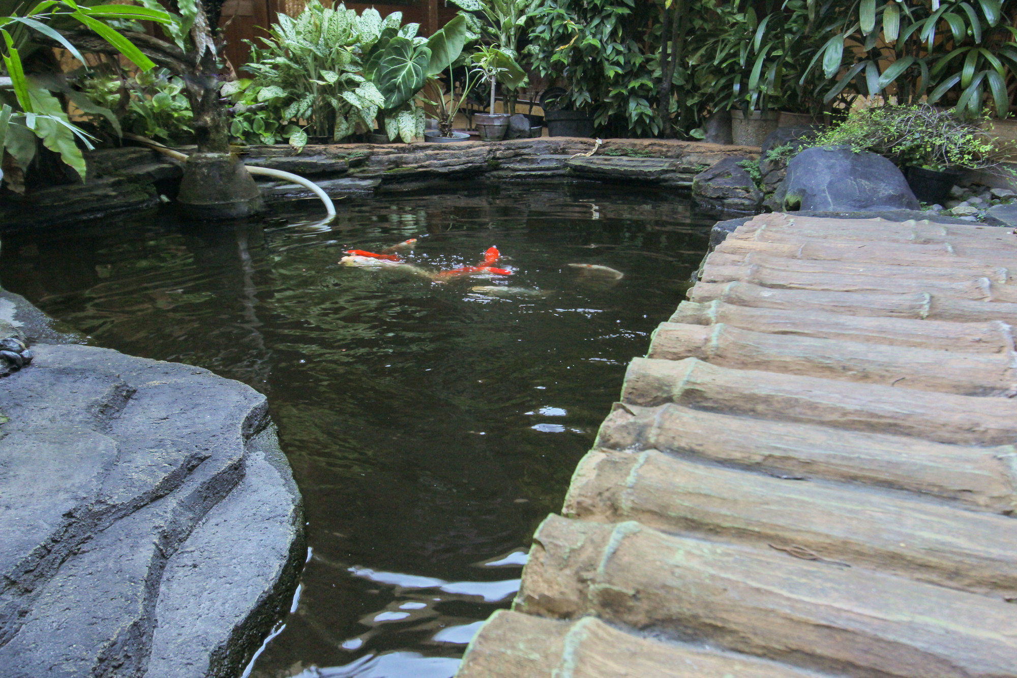 Duta Guest House Yogyakarta Esterno foto